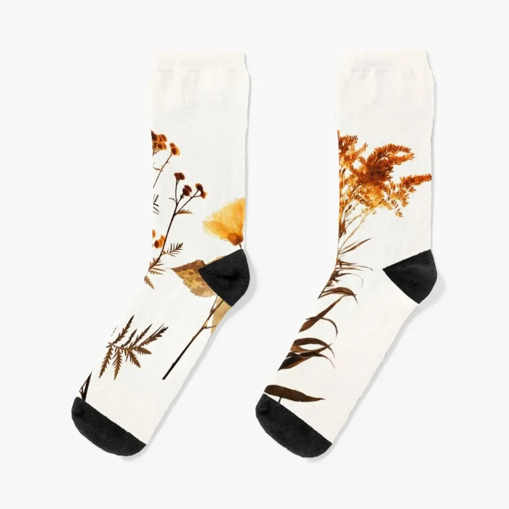 

Ambra Botanical Socks Antiskid soccer New year's golf Stockings Socks For Man Women's