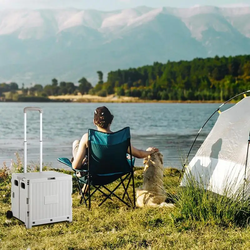 Przenośny składany wózek na zakupy do wózka na zakupy w supermarkecie Ręczny wózek na zakupy Outdoor Camping Plastikowy drążek