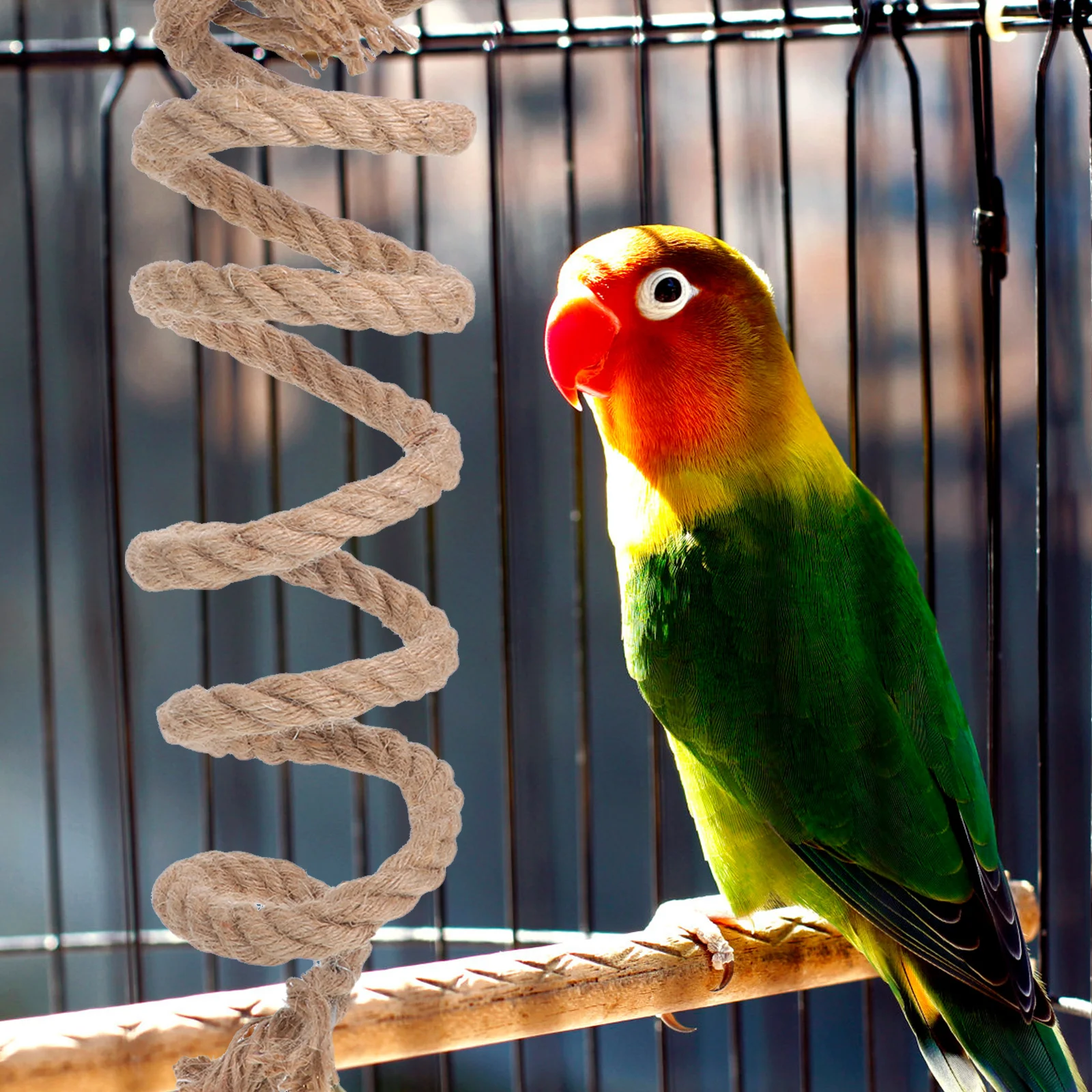 

Parrot Climbing Durable Fiber For Birds Bell Design Flexible Exercise Bird Standing Rope Parrot Spiral Rope Pet Supplies