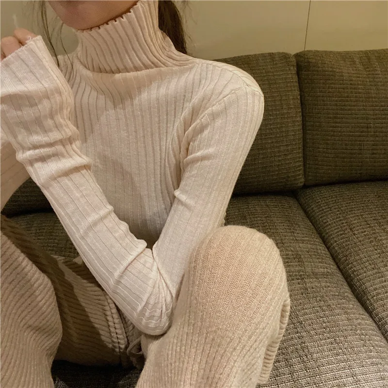 Chic Autumn Winter Sweater Women Pullovers Long Sleeve Casual Turtleneck Warm Basic Sweater Knit Jumpers Top