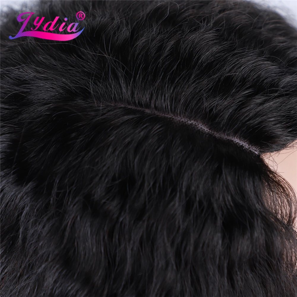 Lydia Long Afro Kinky Curly Synthetic Hair Skin Topper Wig  American Women Head Line Kinky Straight Black 22Inch Mixed Color