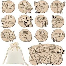 12 Pcs Wooden Baby Milestone Cards with Linen Bag Baby Monthly Milestone Marker Discs Signs Baby Announcement Cards Photo Props