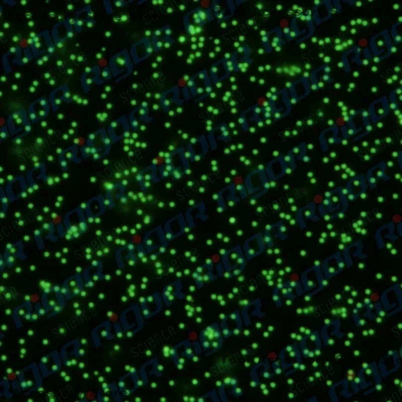 Monodisperse Green Polystyrene /PS Fluorescent Microspheres/Micron And Homogeneity/Microplastics