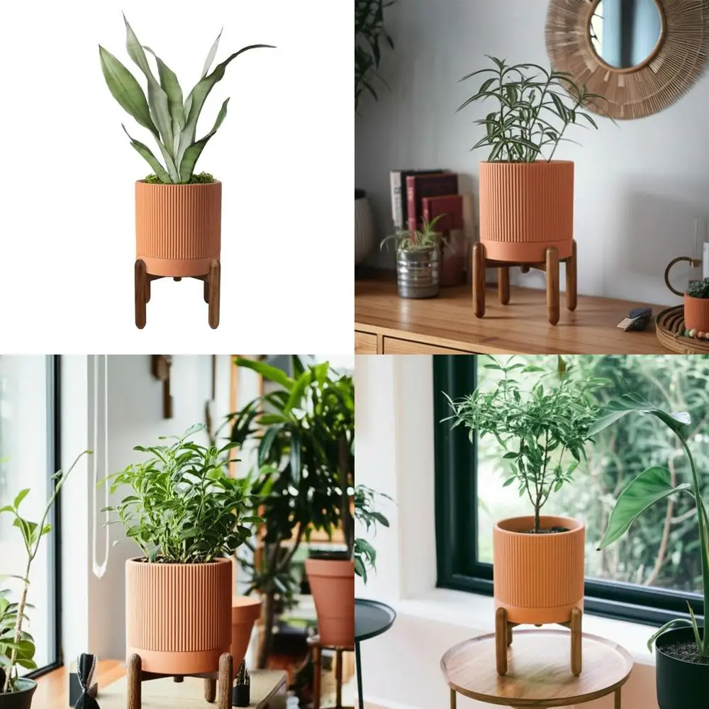 

8 Inch Terracotta Planters with Drainage and Saucer, Ideal for Indoor/Outdoor Plants, Cacti, and Snake Plants