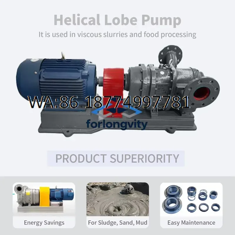custom for LZB Heavy Duty Progressive Cavity Helical Rotor Pump Mining Industry Tailings Concrete Mud Transfer High Head OEM