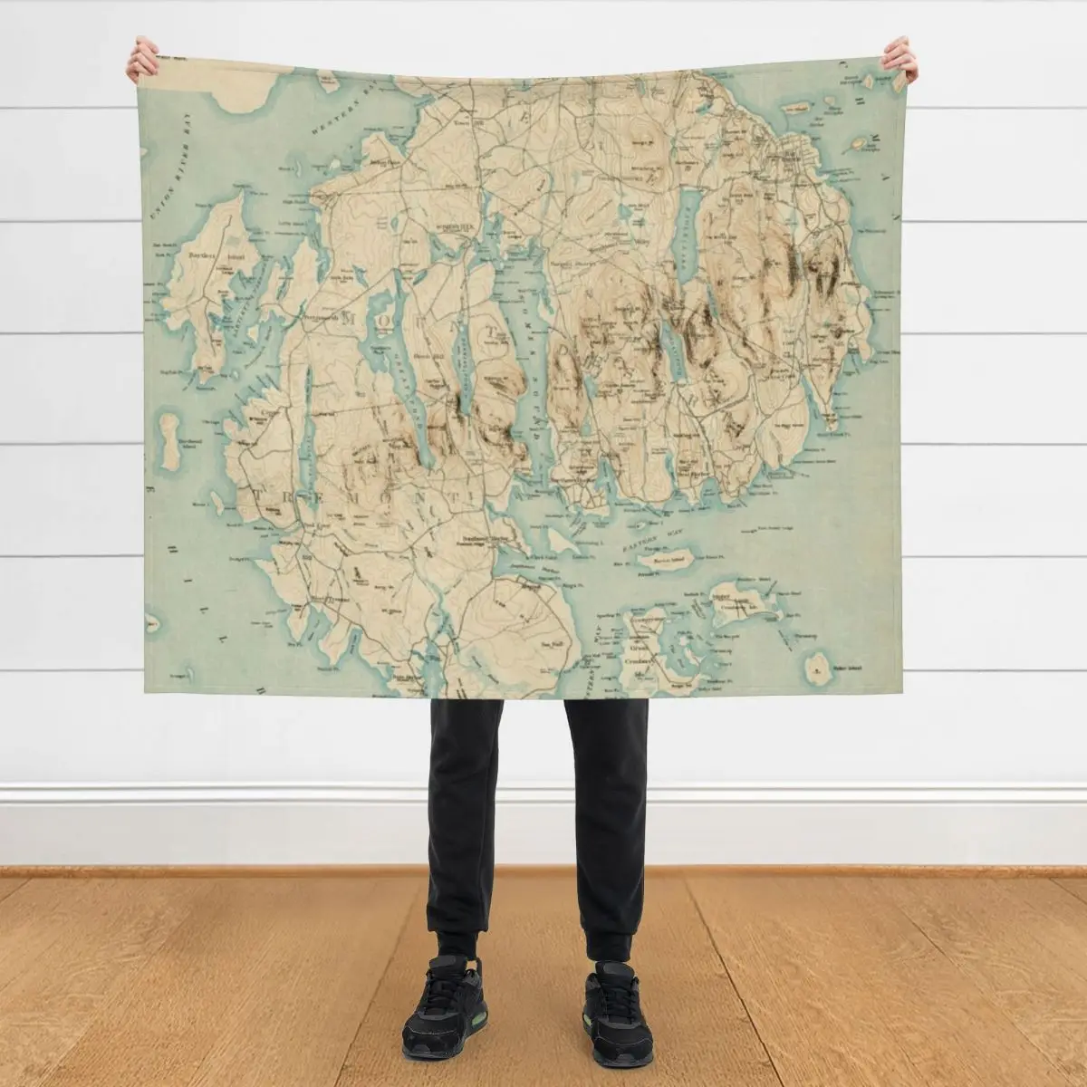 

Vintage Map of Mount Desert Island ME (1901) Throw Blanket halloween Weighted Summer Beddings Blankets