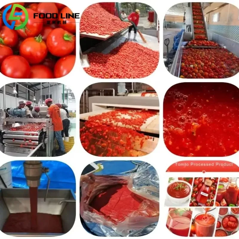 工場価格 トマトマンゴーペースト ピューレ パルプ ジュース ソース ケチャップ ジャム製造機 生産ライン