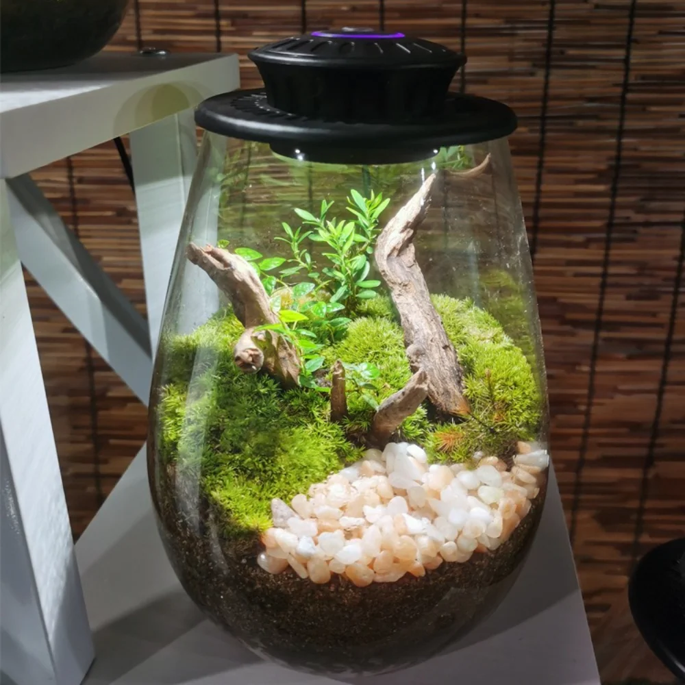 6500K Miniature Landscape Plant Grow Light 3W Moss Terrarium Plant Light with Smart Timer Feature Plant Light for Indoor Plants