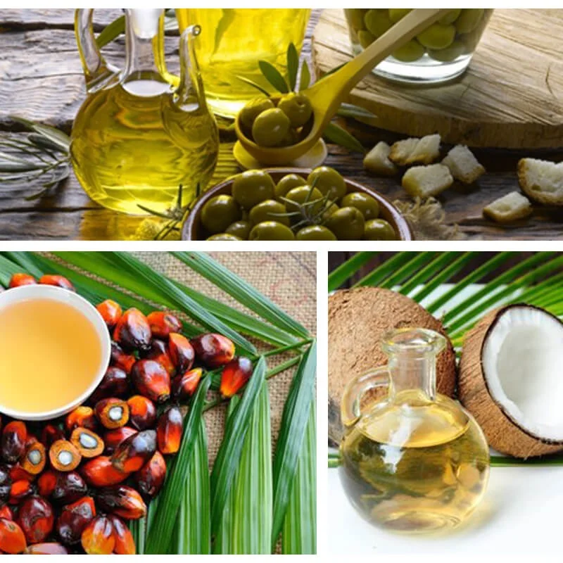 Coconut-oil-press-machine-philippines extra Virgin Olive Oil Cold Pressed Palm Oil Processing Machine Manufacturing Plant