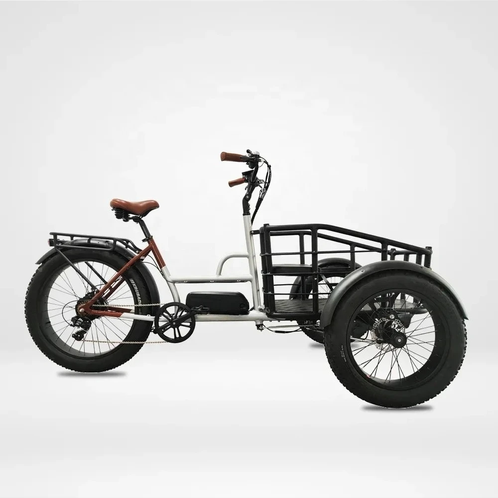 48V 500w Three Wheel Bicycle Cargo Tricycle Front Loading Cargo Electric Cargo Bike 3 Wheel Bicycle