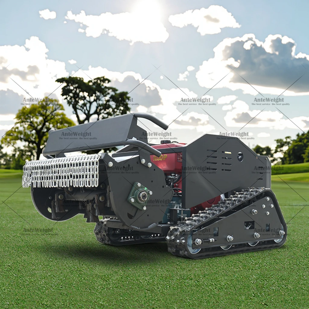 

Cheapest Diesel Robot Lawn Mower Electric Start Grass Cutter Flail Track Mowers CE