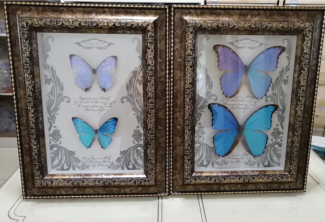 Butterfly Specimen Joy Goddess Big Blue Morpho Butterfly European Glass Cover Photo Frame Ornament Birthday Valentine's Day Gift