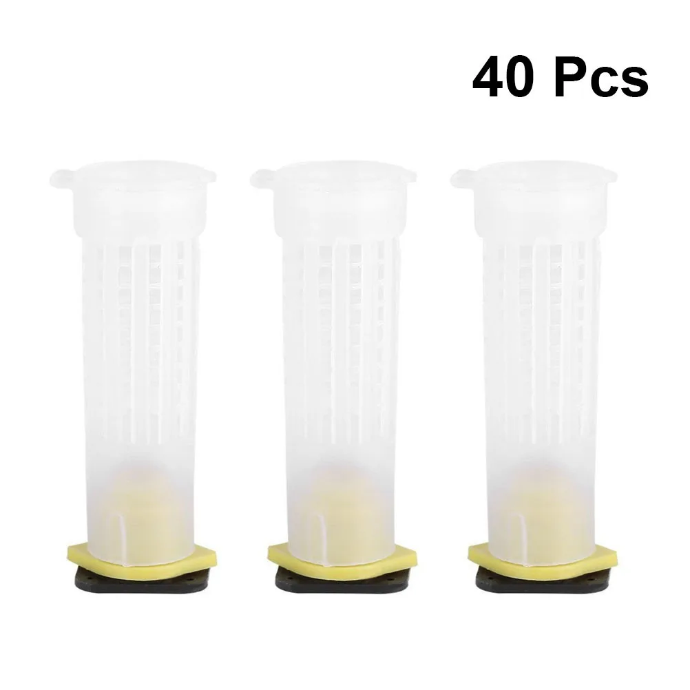 

50pcs Anti-Bite Protective Cover For Beekeeping Durable Safe Practical Tool Bee Feeding Box Beekeeper Accessory Case