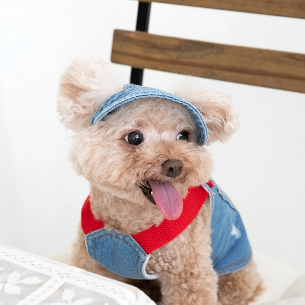 Autumn Winter Embroidered Denim Skirt Plush Pet Clothes Cat and Dog Clothes Teddy Bear Coat Hat Dog Christmas Clothes Dog Dress