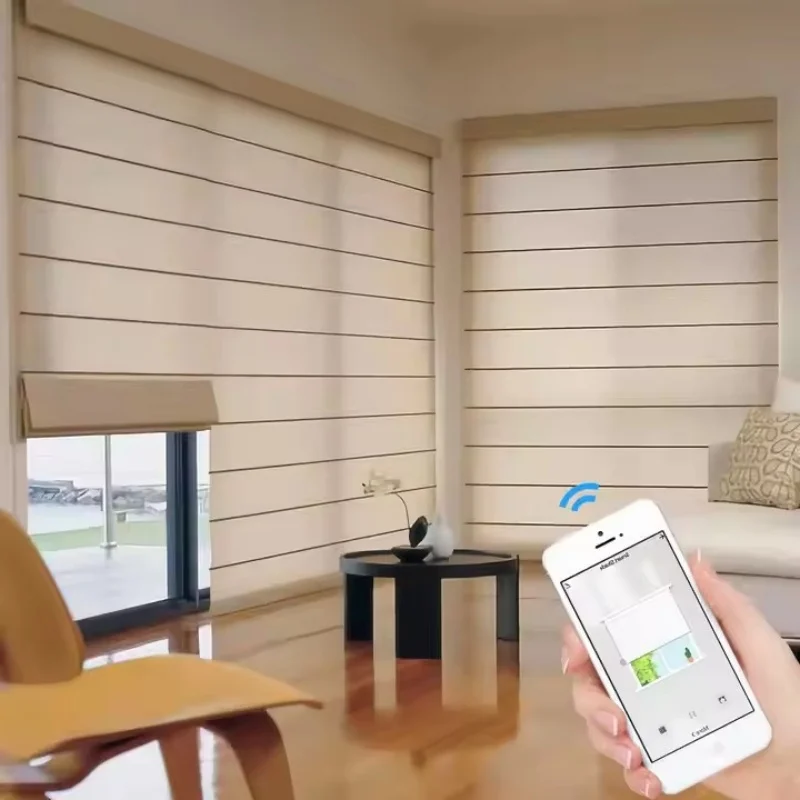 

Wholesale Price Custom Size Filter Shading Alexa Google Wifi To Control Lithium Battery Motor Motorized Roman Blinds For Window