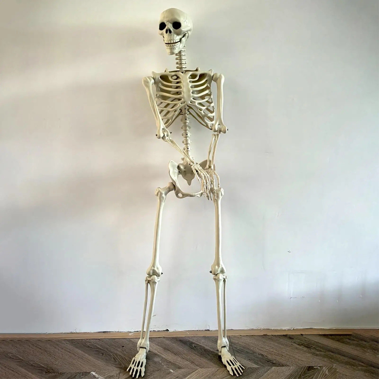 Fröhliches Skelett für Halloween, Ganzkörper-Posierbares Skelett-Modell, Humanoides Skelett, Dekorative Requisiten für Halloween-Party-Zubehör – Detail 6