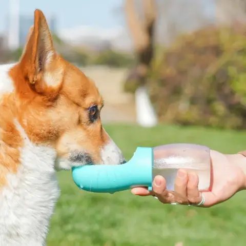 Pet Dog Water Bottle 300ML Puppy Drinking Bowls For Small Medium Dogs Cats Hiking Portable Cat Feeder Golden Retriever Supplies