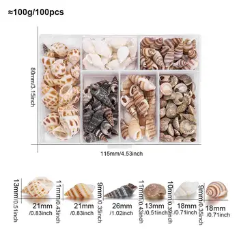 6 best sales Vỏ sò - №3