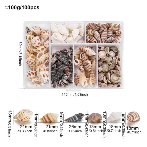 6 best sales shells - №3