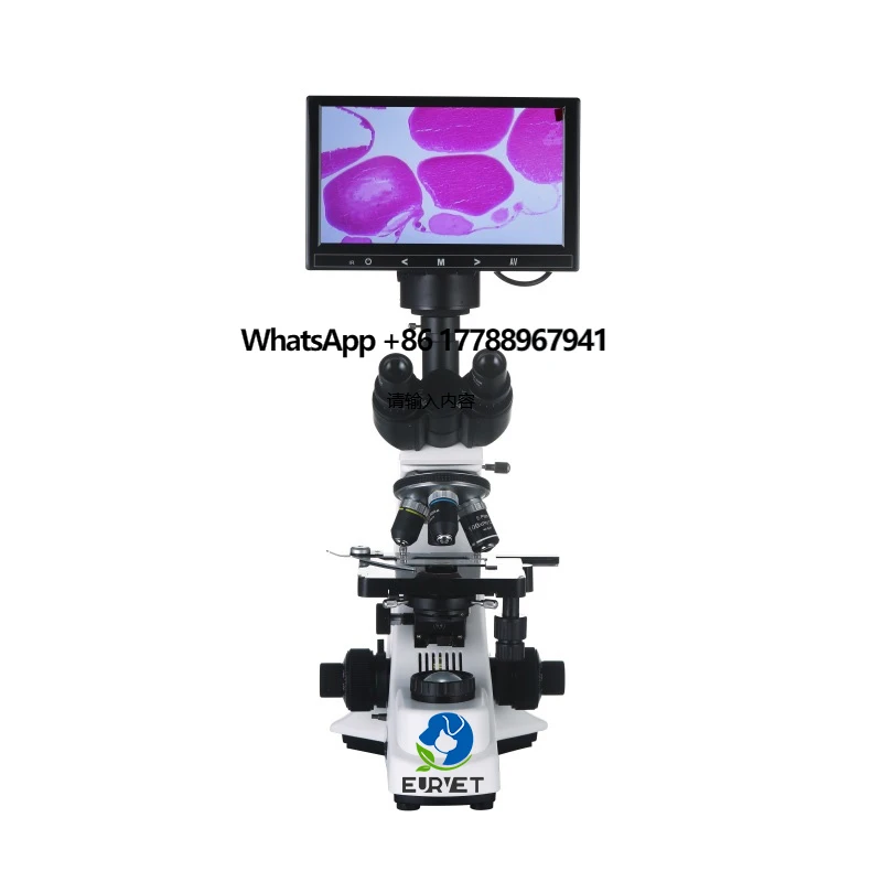 

EUR VET Durable in Use Veterinary Instrument Biological Microscope Bm-6c Practical Microscopic Veterinary