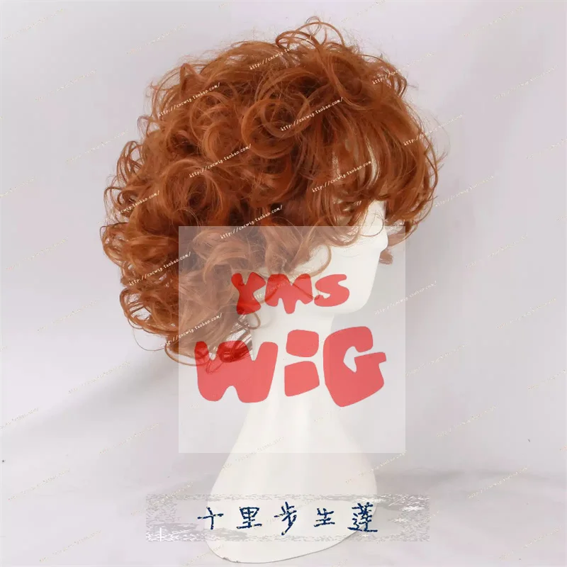 Anime Panty & Stocking with Garterbelt Brief Cosplay Wig Burifu Cosplay Wig Heat Resistant Synthetic Hair for Halloween Costume