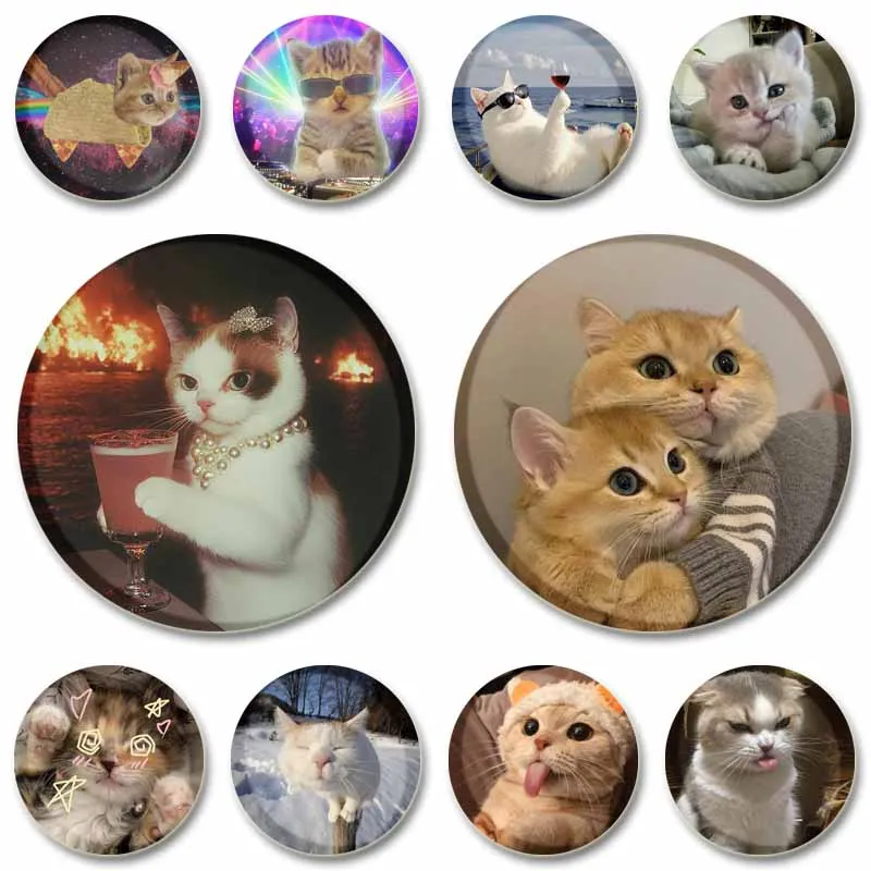 Cute Cat Lapel Pins Custom Tinplate Round Brooches for Backpack Shirt Decor Creative Funny Animal Badges Jewelry Gift for Friend