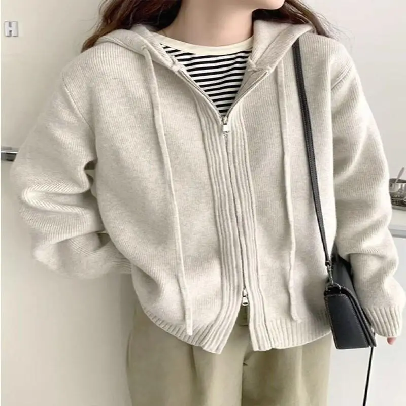 

2025 spring autumn and winter hooded double zipper sweater jacket loose outer wear, lazy style thickened sweatshirt cardigan