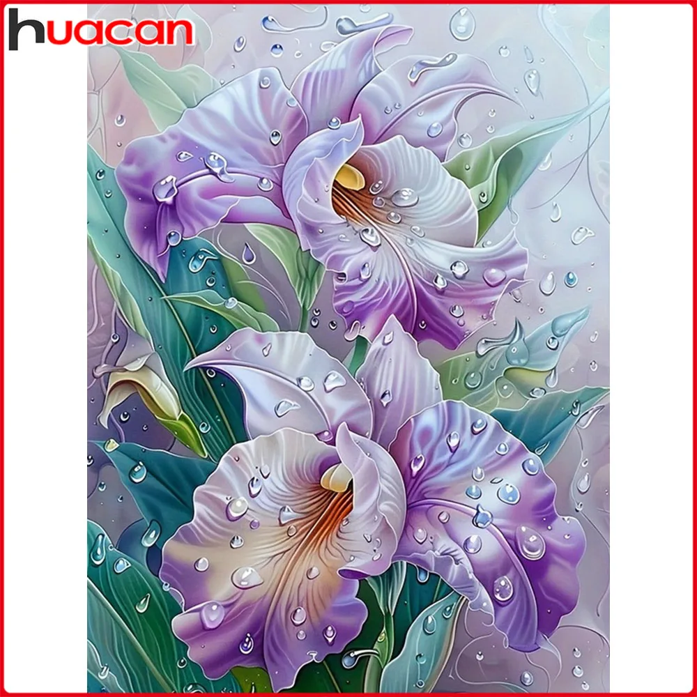 Huacan 5D DIY Diamantmalerei Iris Diamantmosaik Blume Neu 2026 Bild aus Strasssteinen