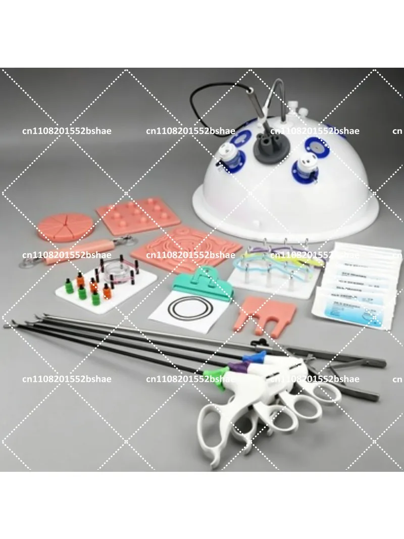 Single Hole Hemisphere Simulation Training Box for Medical Practice