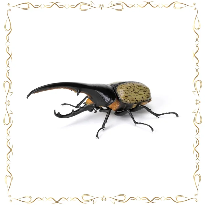 

Dynastes Hercules Gashapon Collection Ornament Keepsake Action Figure Model Toys