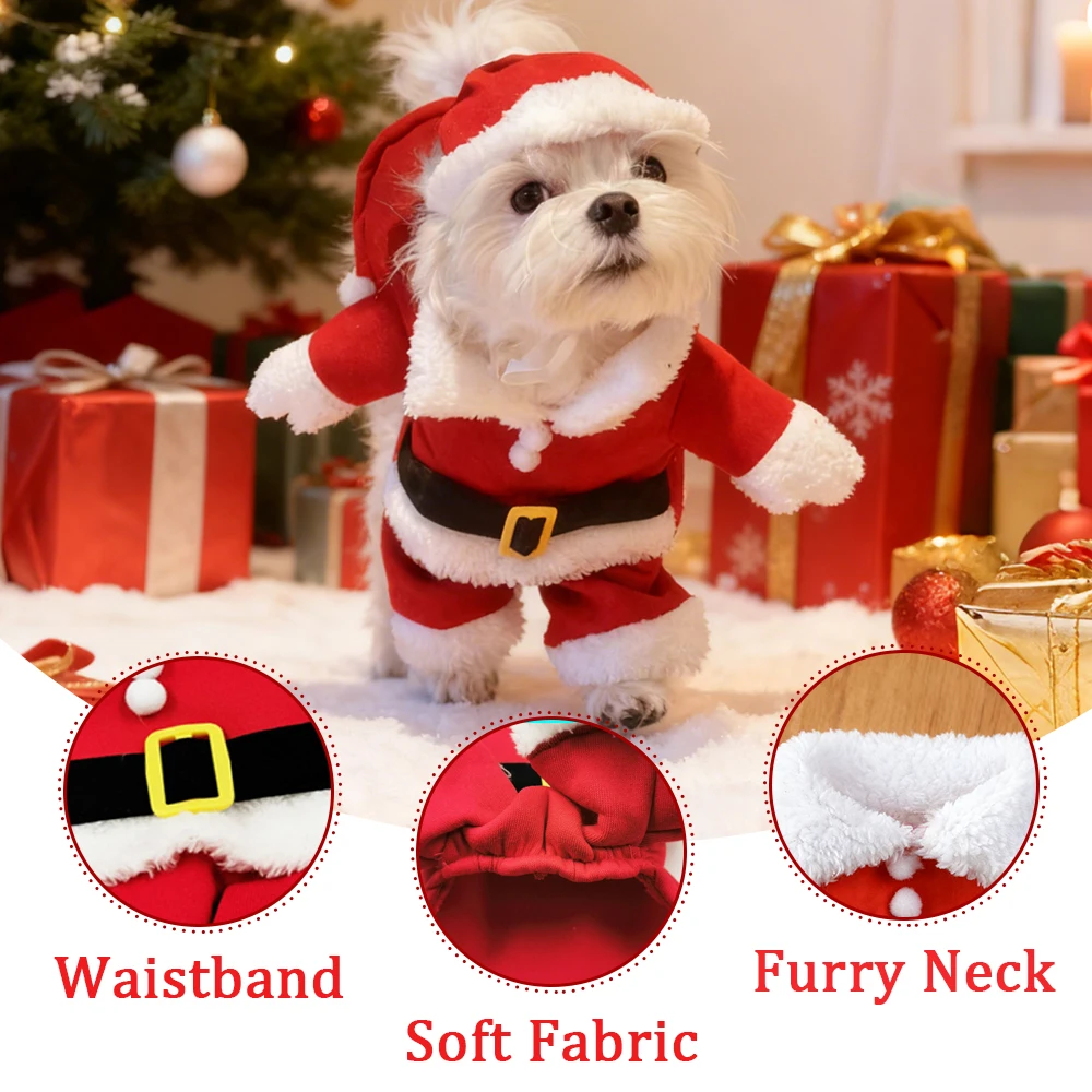 Santa Claus Pet Costume 3