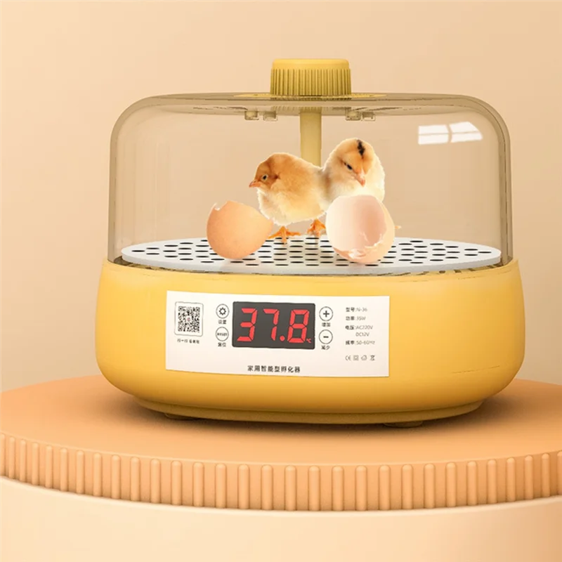

AK25-Mini Bird Incubator Automatic Home Incubator Automatic Incubator Electric Children's Chicken Bird, 6 Eggs,EU Plug
