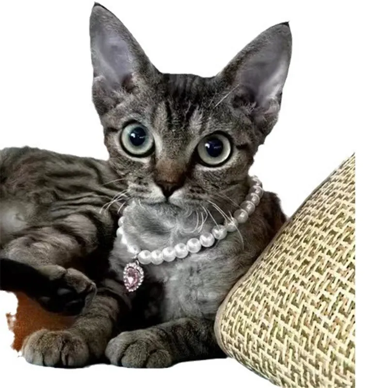 Cat Collar Pet Pearl Necklace Pet Collar Cat and Dog Jewelry Love Rhinestone Pet Products for Dog Birthday Dress Accessories