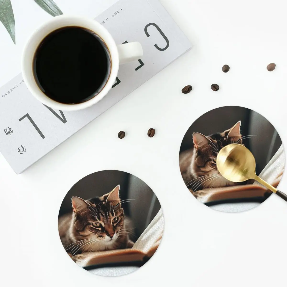 

Chill Like Cat Книги для чтения Cat Lover Подставки Кухонные салфетки Изоляционные коврики для чашек Кофейные коврики Домашняя посуда Подушечки Набор из 4 шт.