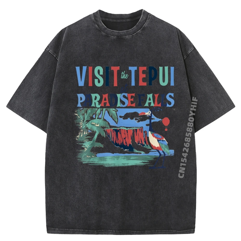 

Mens Tops Pixar Up Kevin Visit Paradise Falls Watercolor Poster Oversized Graphic T Shirt Retro Washed Tshirt