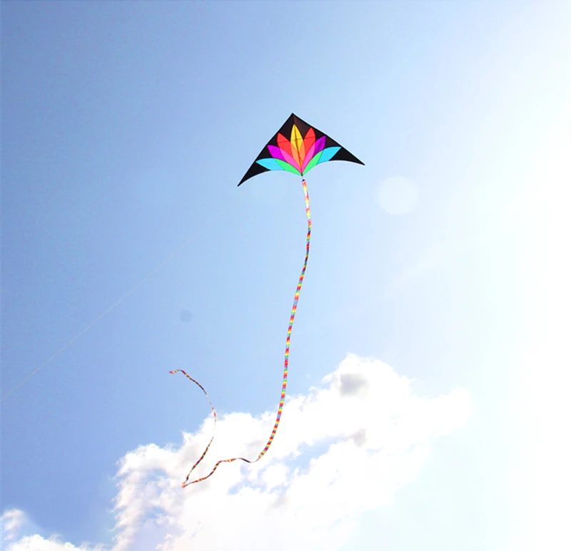 Gratis verzending 2m grote regenboog delta kite met 10m staarten vliegende lijn kids vliegers fabriek delta vliegers windzakken kite surfen vliegen