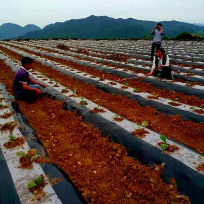 10m 0.008mm Mulch Film PE Black White Plastic Mulch Garden Ground Cover Film Frost Protection Keep Warm Weed Control