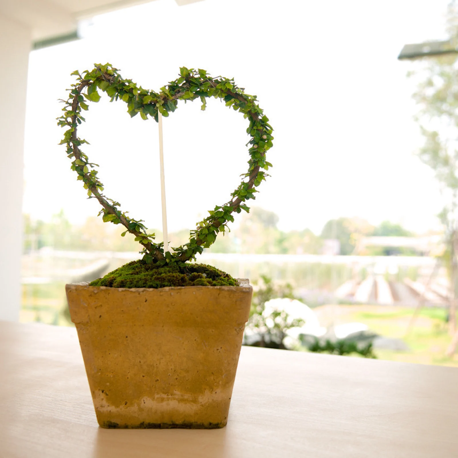 

200Pcs Bamboo Plant Stakes Durable Supports for Garden Planting Gardening Supplies Flower Shrubs Tomatoes Peppers