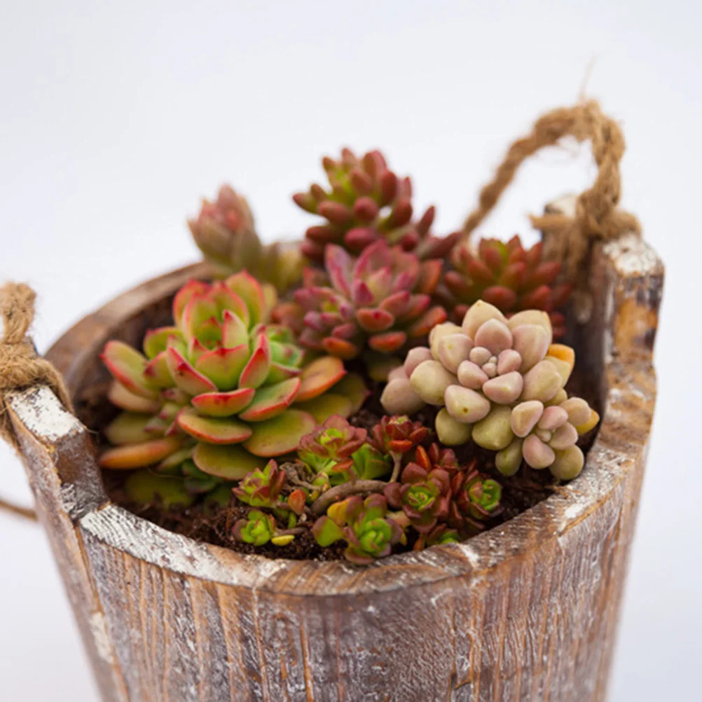 

Wooden Succulent Planters Vintage Wall Mounted Hanging Pots For Indoor Garden Office Home Multi Functional Flower Holder
