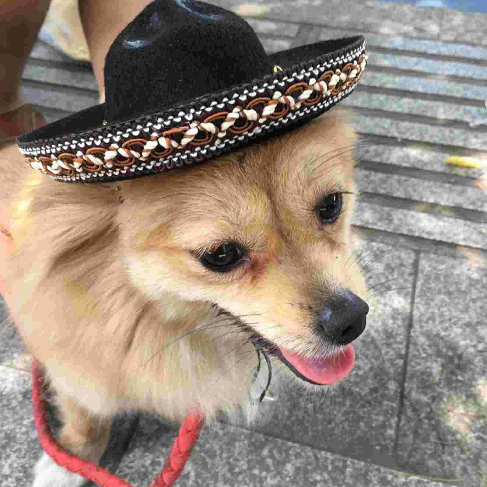 Dog Sombrero Hat Mini Party Hats Small Fiesta Hat Cinco De Mayo Headband Hats Sombrero Party Cat Costume Clothes Mexican