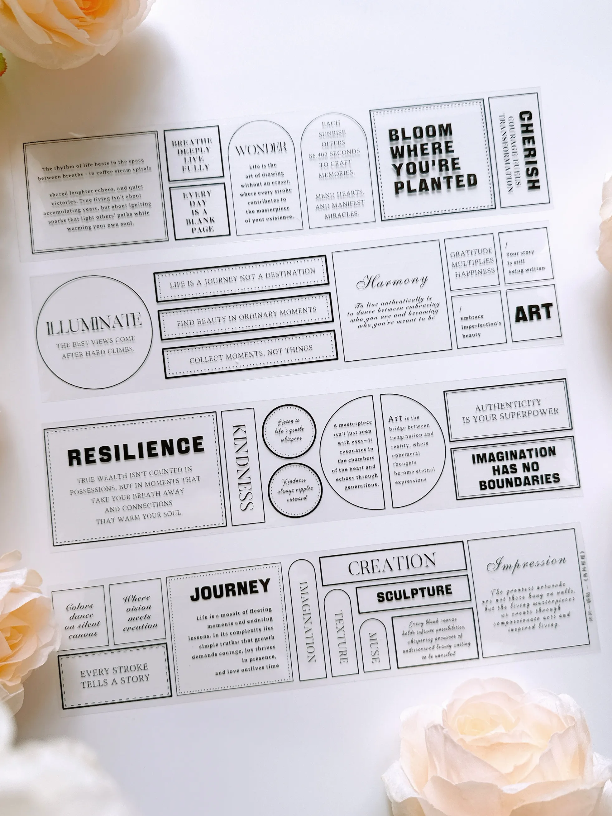 

Washi Pet Tape Roll [Various Boxes] English Box Paragraph Grapheme Journaling