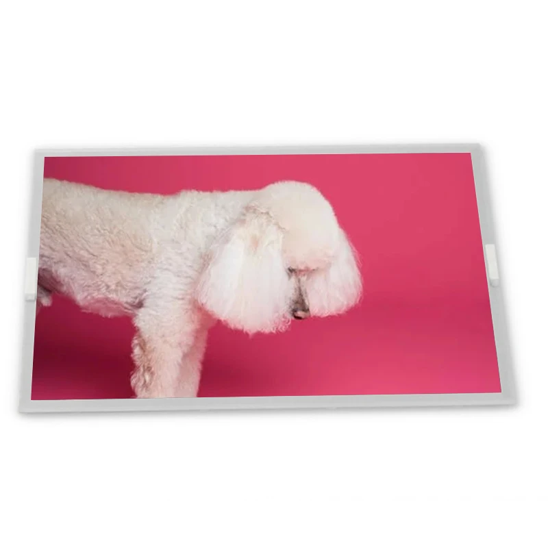 A104SN03 V1 LSA40AT9001 10.4 800*600 TFT-LCD Screen Panel Zhiyan supply