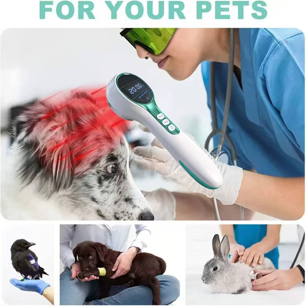 880mW Dual Wavelength 650nm 808nm Cold Laser Device for Dogs Cats Pets Arthritis Pain Inflammation Relief