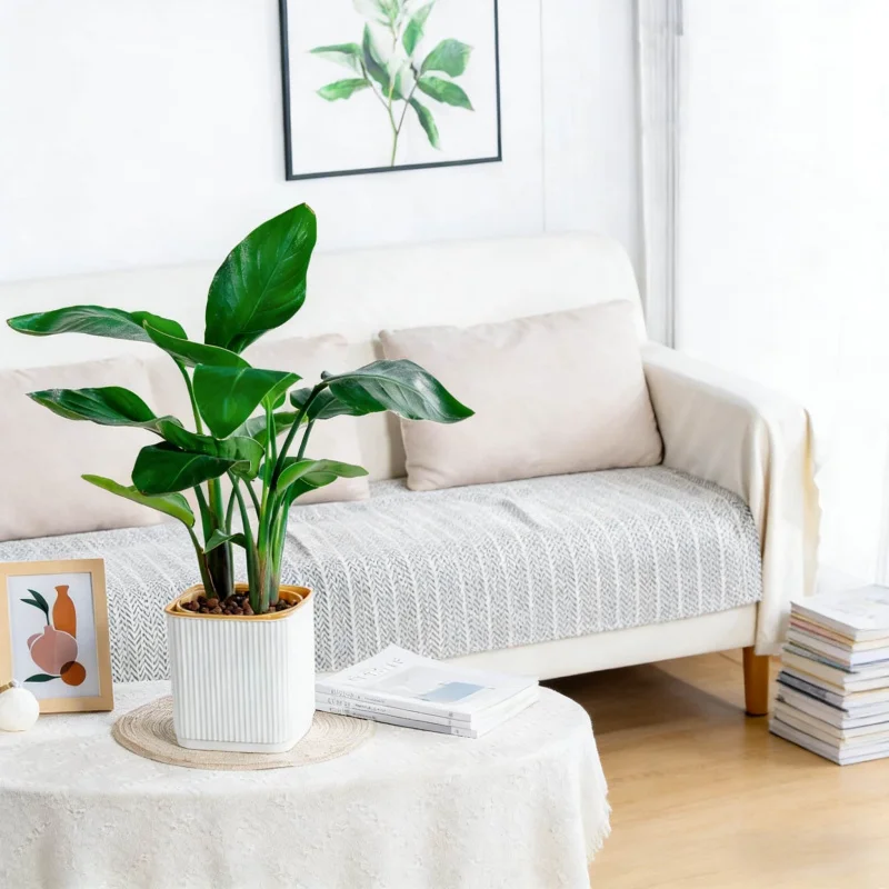 

Утолщенный пластиковый самополивающийся квадратный цветочный горшок в скандинавском стиле для ленивого выращивания растений в помещении и на балконе