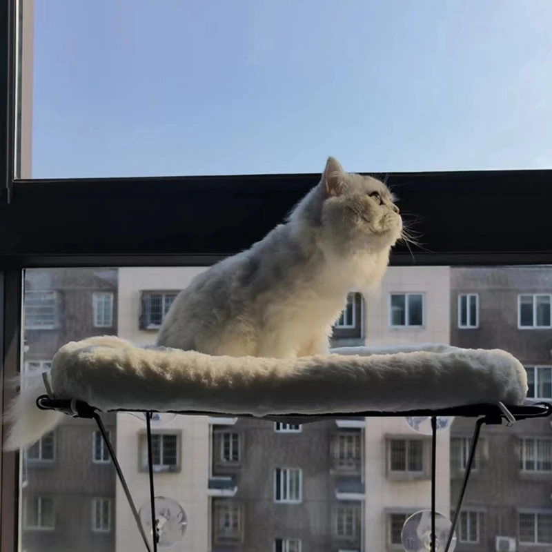 Bed Perch for Sunbathing, Napping & Overlooking Shelves Space Saving Shelf