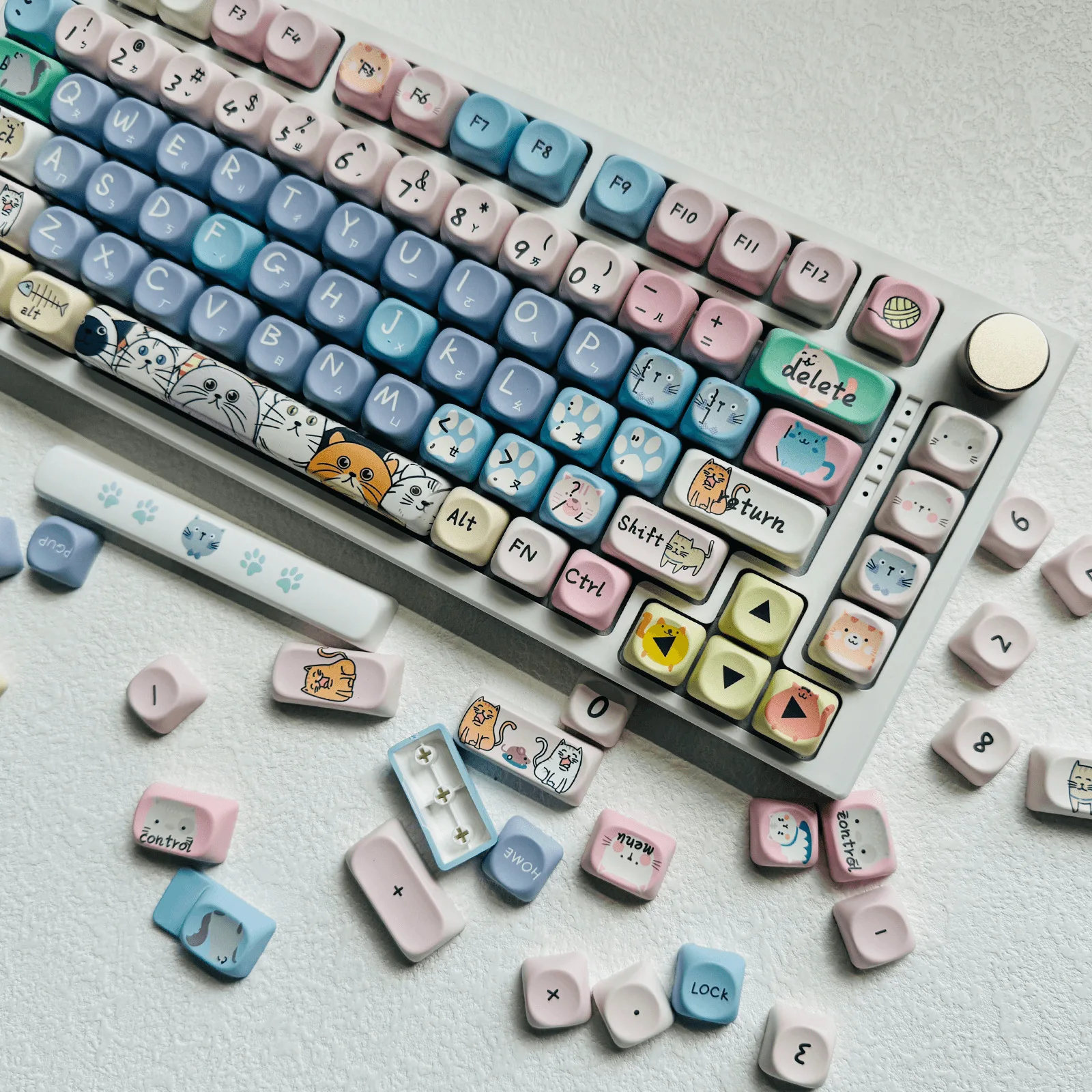 Рисунок 2 - 123 клавиши милый кот мультфильм