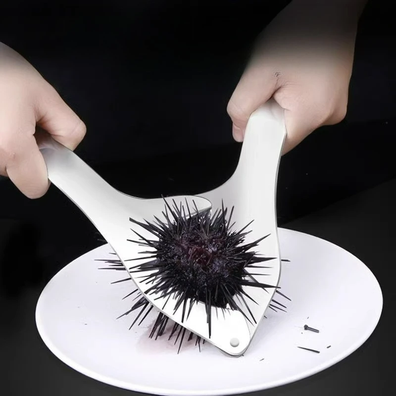 Open Sea Urchin, Cut and Kill Sea Urchin Clips, Special Tools, Sea Urchin, Open The Shell and Take Sea Urchin Meat