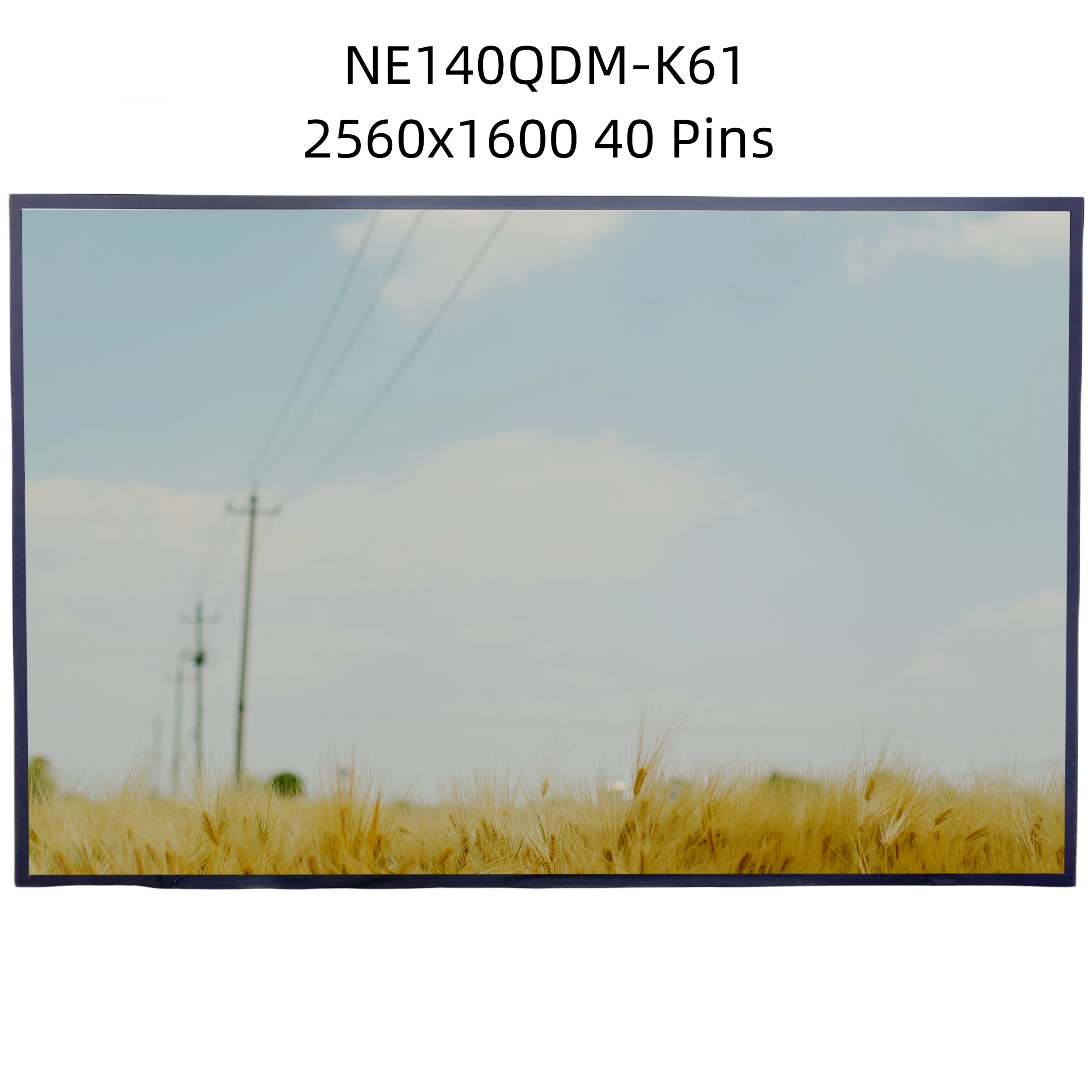 

NE140QDM-K61 14.0'' Laptop LCD Touch Screen Display Panel Replacement 2560x1600 0TW8Y2