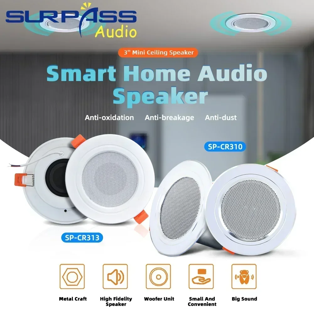 Smart Home Theater Audio Wifi Bluetooth Wall Amplifier Android 10.0 System Voice Control PA System Ceiling Speaker for Room Home