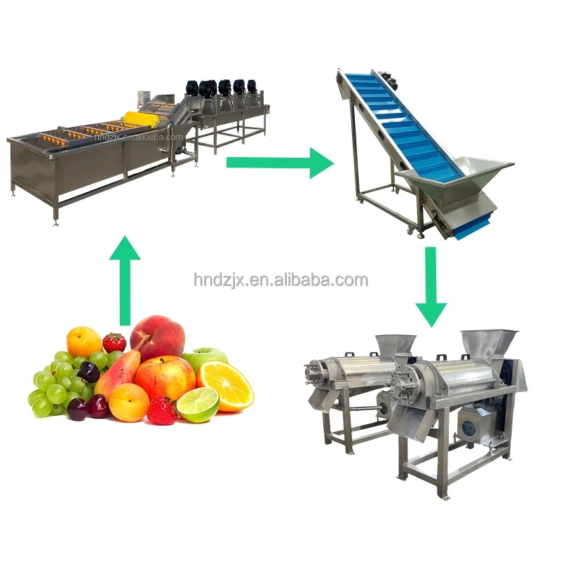 DZJX Low-cost Combined Equipment for Small-sgcale Production Line of Fruit and Vegetable Cleaning and Juicin